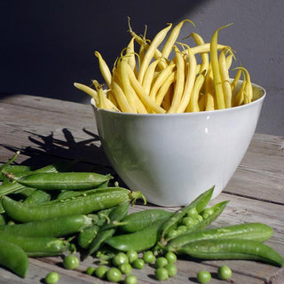 Capacious Porcelain Medium Sized Bowl